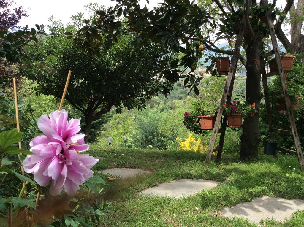 L'Acacia B&B Pietra Ligure Εξωτερικό φωτογραφία