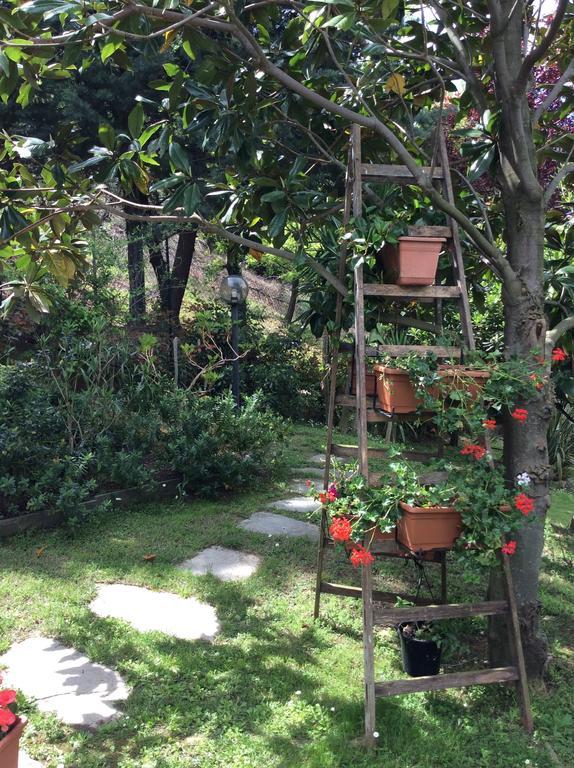 L'Acacia B&B Pietra Ligure Εξωτερικό φωτογραφία